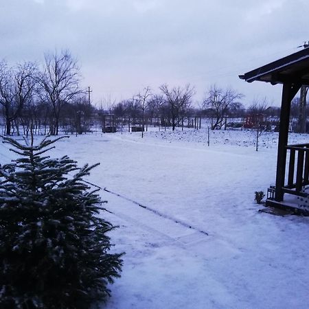 Casa De Vacanta Ayan Hărman Quarto foto