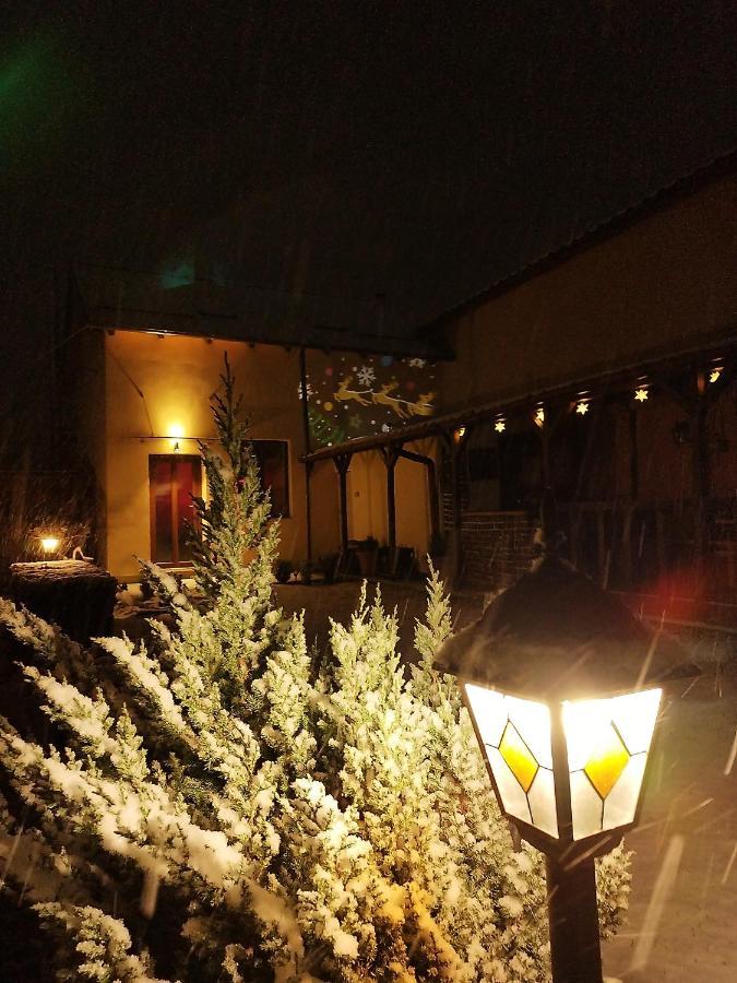 Casa De Vacanta Ayan Hărman Exterior foto