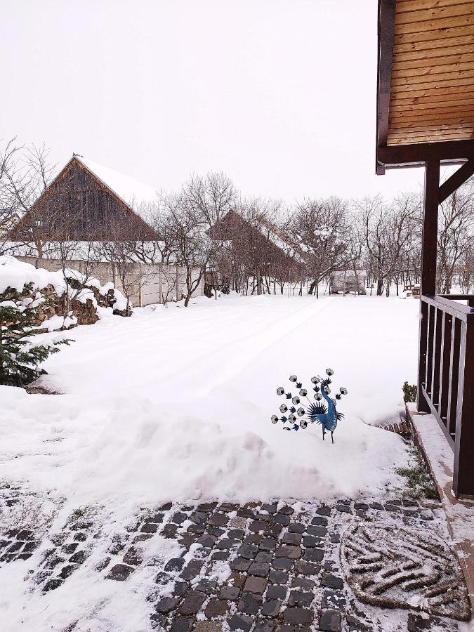 Casa De Vacanta Ayan Hărman Exterior foto